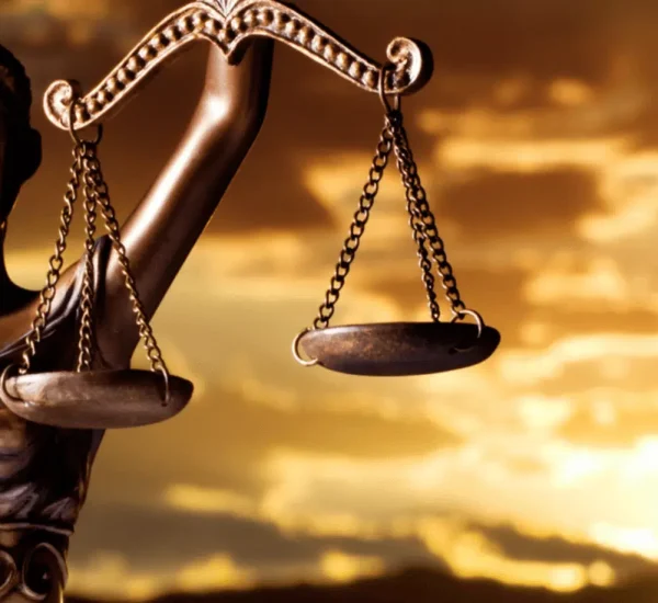 Top USA Judge Insights Every Legal Researcher Should Know